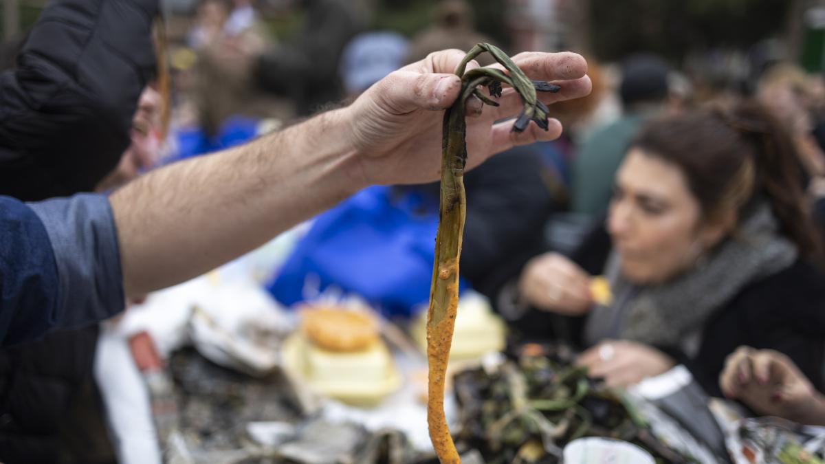 
                                                                    Calçotades para ‘pixapins’
                                                                
