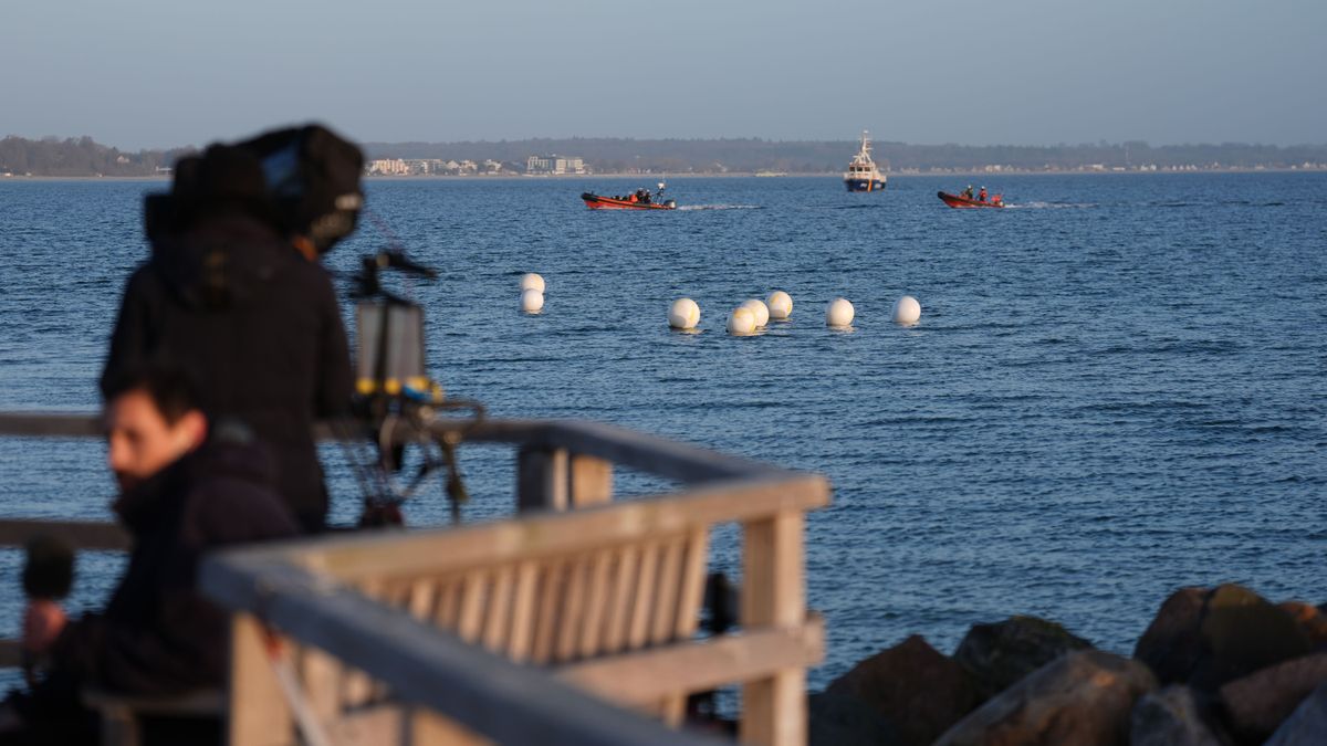 Timmendorfer Strand: Buckelwal befreit sich in der Nacht von Ostsee-Sandbank