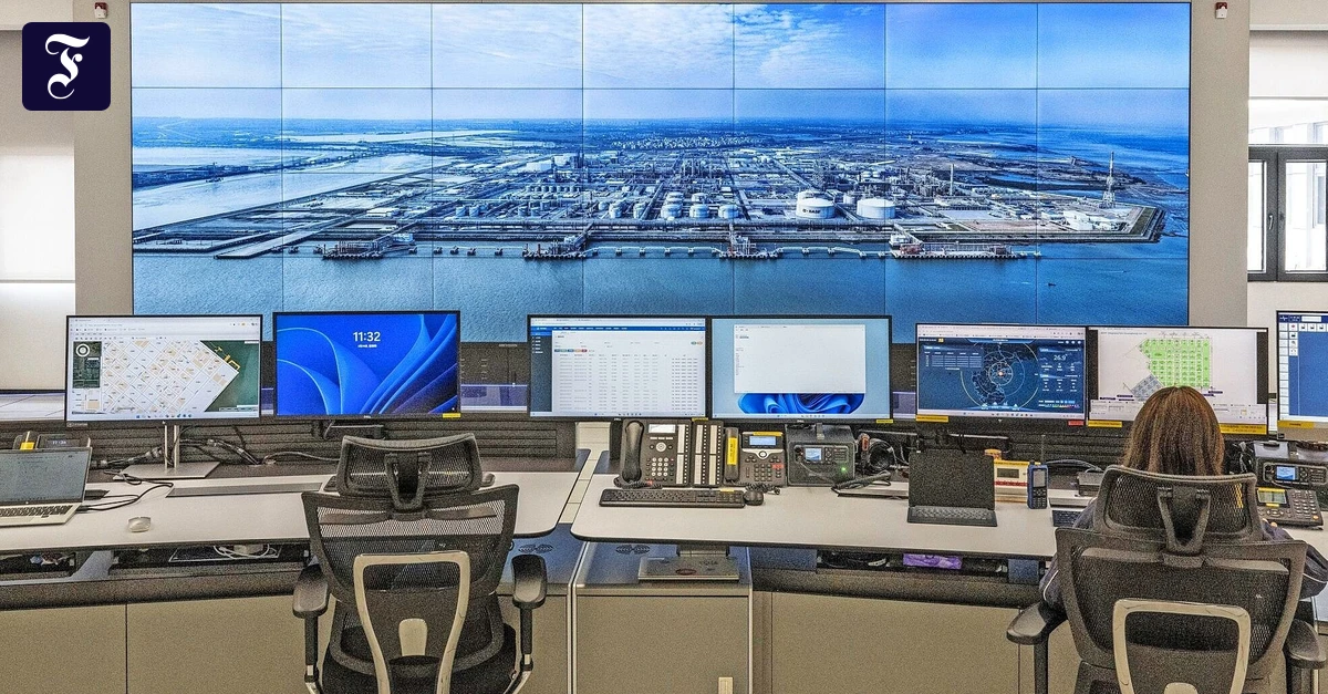 BASF in China: Ein Raumschiff in den Reisfeldern