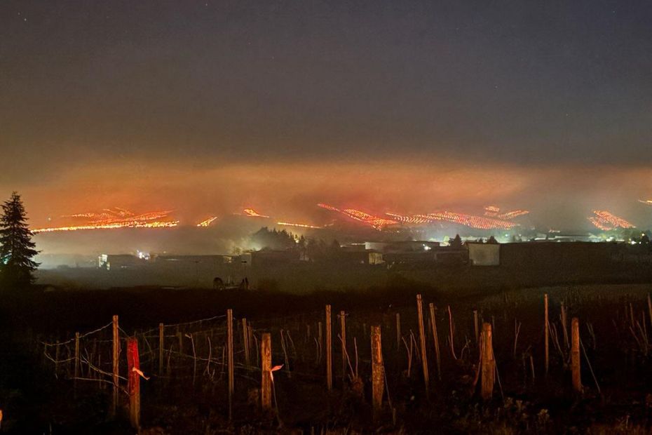 PHOTOS. Nuit de gel dans les vignes de Bourgogne : à Chablis, les parcelles illuminées par les bougies chauffantes
