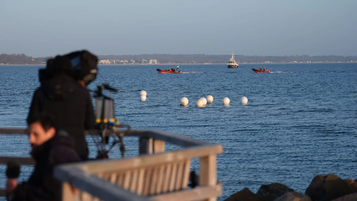 Lübecker Bucht: Buckelwal am Ostseestrand hat sich befreit
