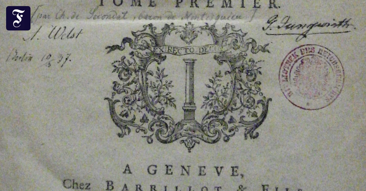 Theorie des Gesetzes: Eins, zwei, Polizei