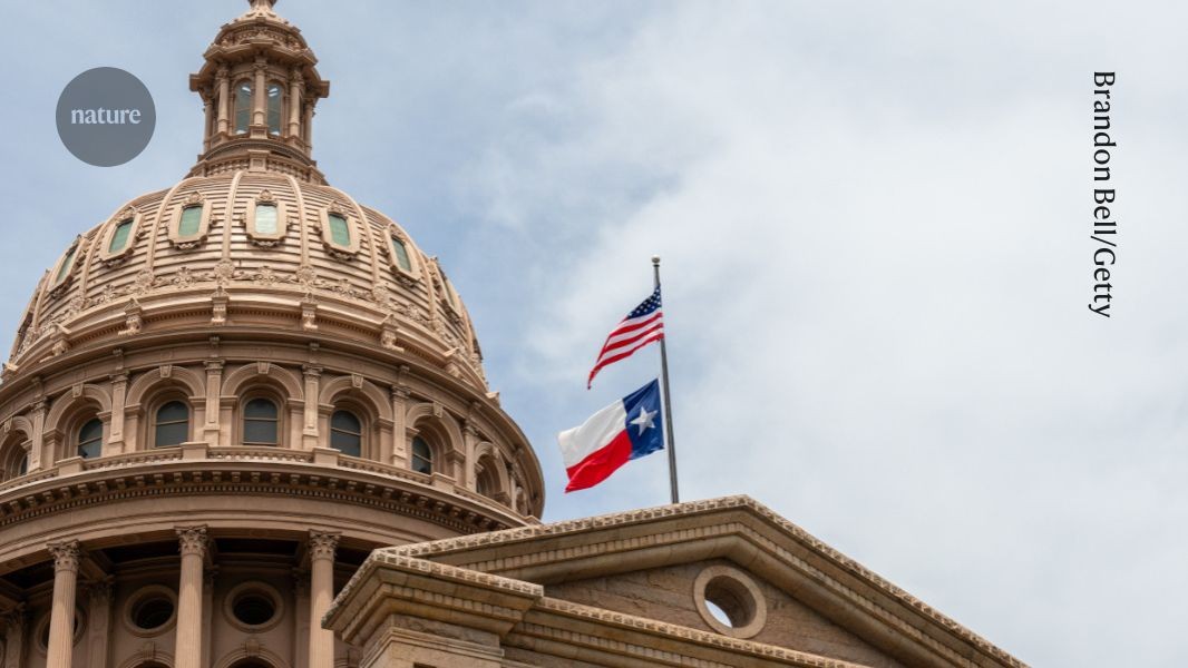 Policed and censored: professors in the southern US feel under siege