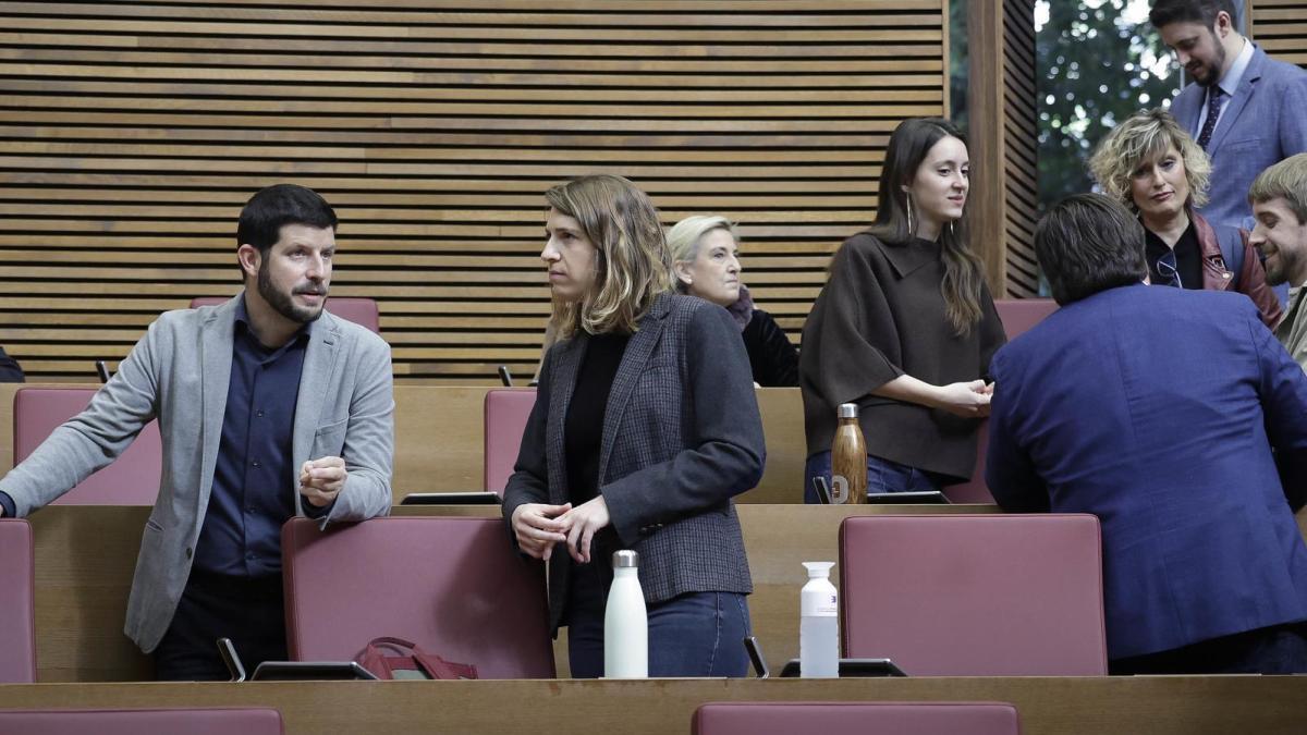 El partido de Oltra abre la puerta a una lista unitaria al Senado que incluya al PSPV
