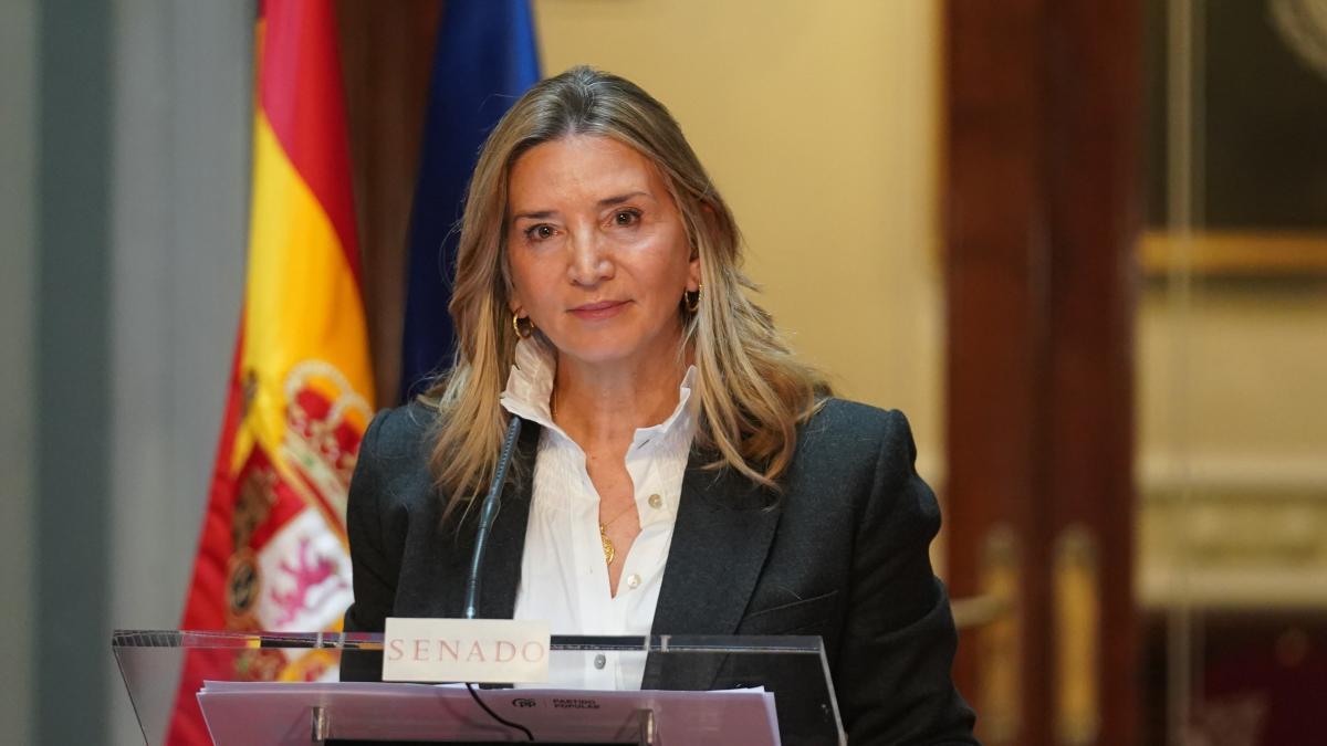 El Senado citará a Ábalos y Puente en la investigación por Adamuz y Gélida