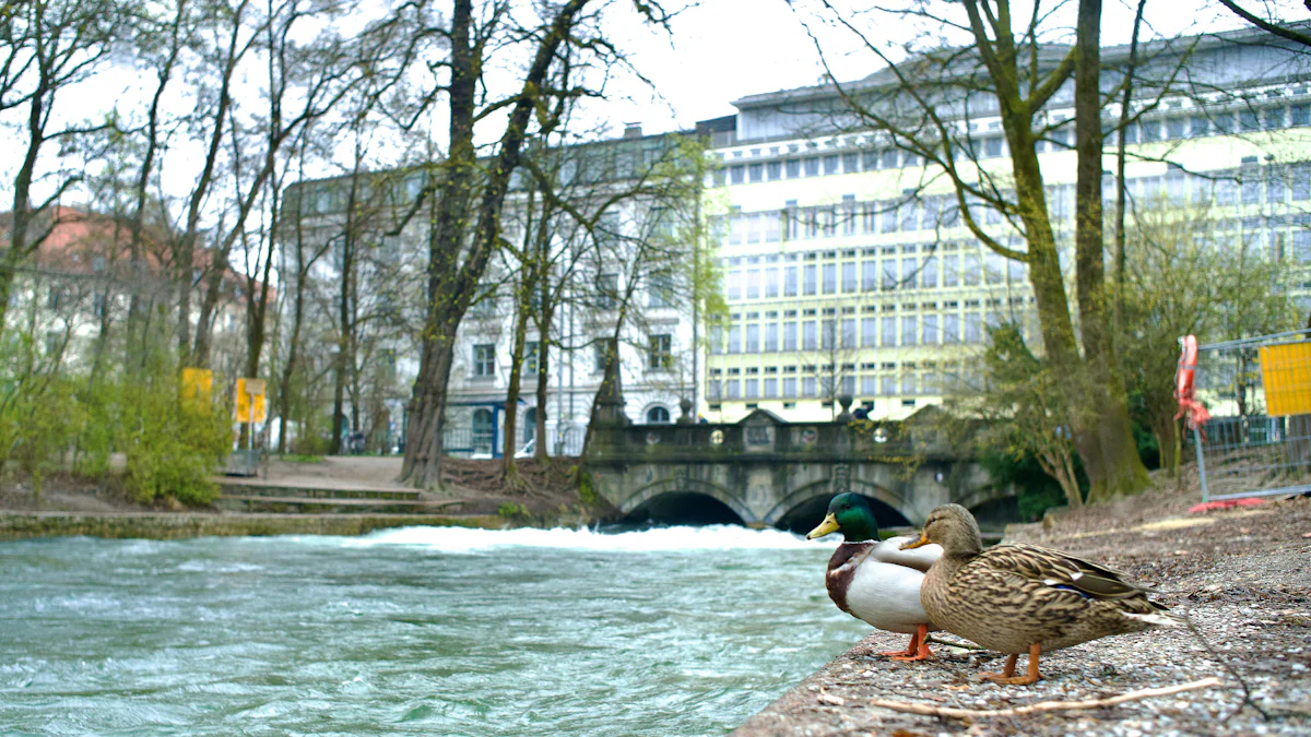 Surfen: Münchner Eisbachwelle wieder verschwunden