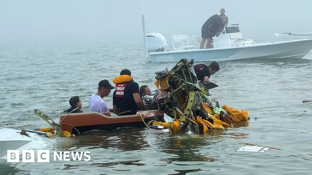 Five dead after plane carrying child burns victim crashes in Texas