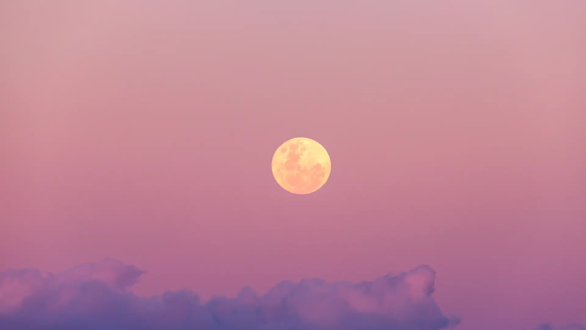 
         Llega la primera luna llena de la primavera: ¿Cuándo se podrá ver en España la Luna Rosa? 
    