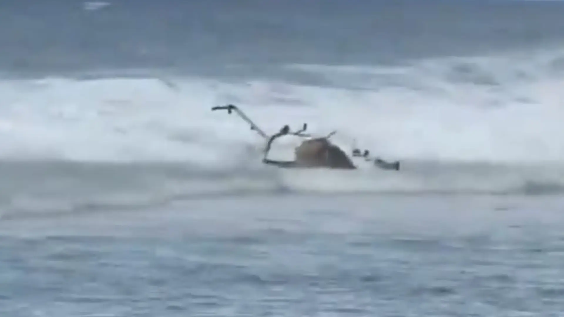 
         Al menos tres muertos y dos heridos al estrellarse un helicóptero turístico en una playa de Hawái 
    
