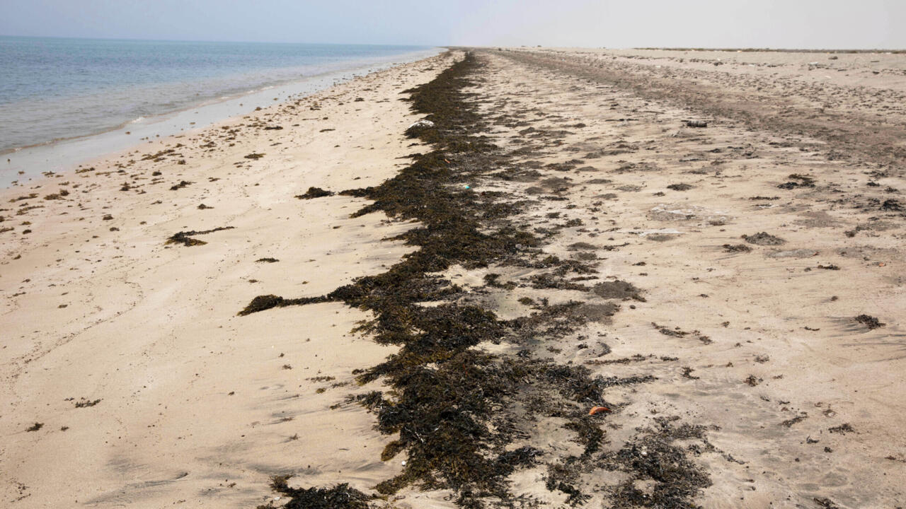 Un navire transportant plus de 320 migrants fait naufrage au large de Djibouti