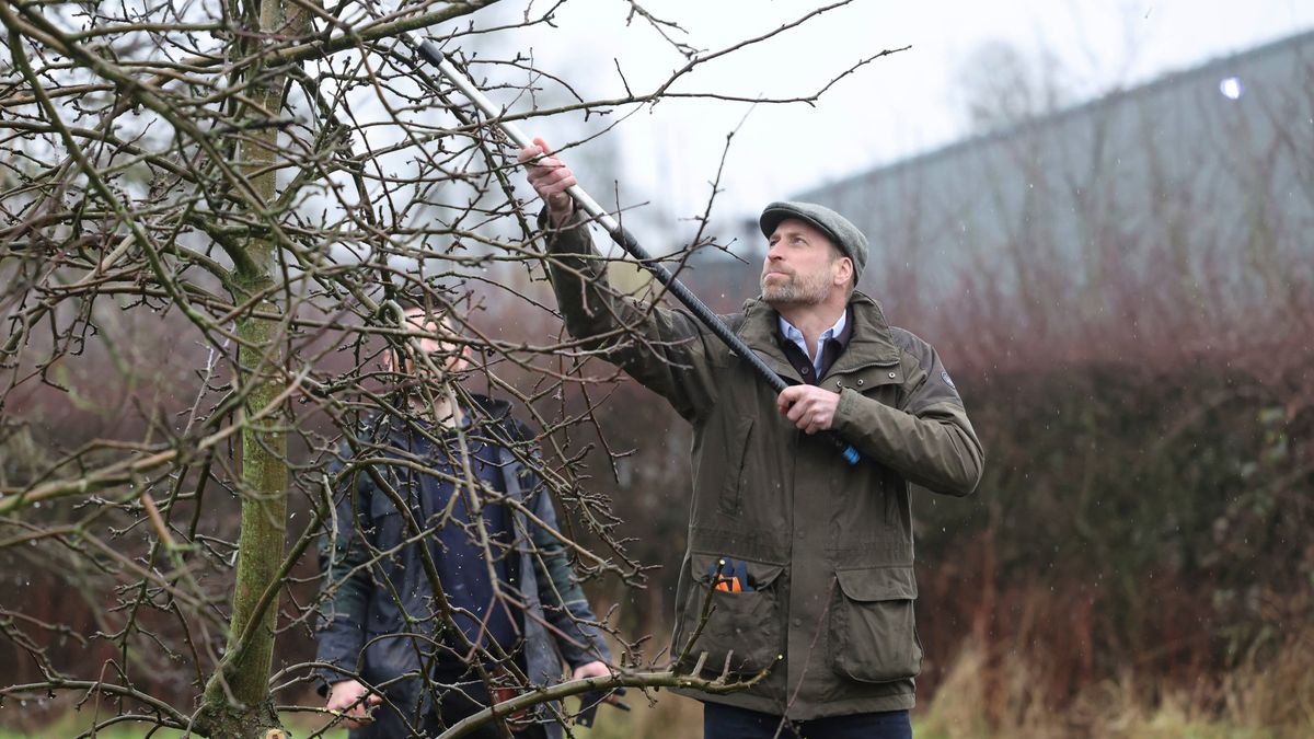 Prinz William: Ruiniert der Herzog von Cornwall den Bauern die mentale Gesundheit?