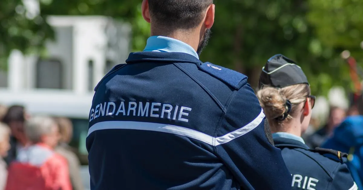 Un septuagénaire accusé d'avoir tué sa sœur avant de se suicider près de Blois