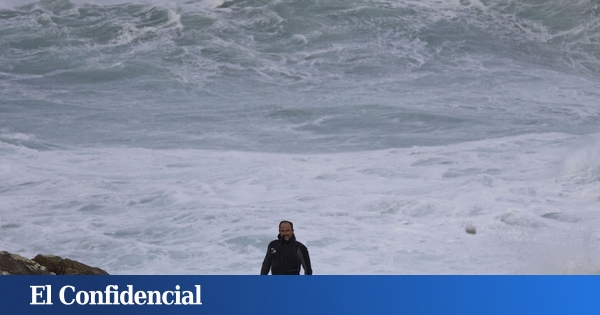 De las rocas a las mesas de Europa en horas: el 'Glovo' del percebe gallego