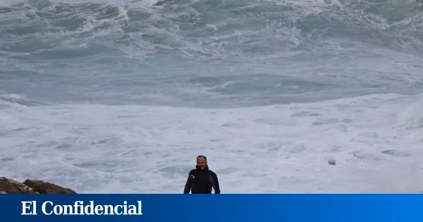 De las rocas a las mesas de Europa en horas: el 'Glovo' del percebe gallego 