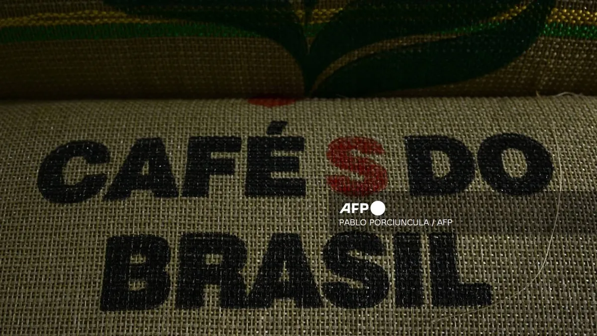 Près de 20.000 dollars le sac, soit 50 fois plus cher que l'arabica: ce Brésilien veut nous faire boire son café rarissime, très doux et quasiment sans caféine