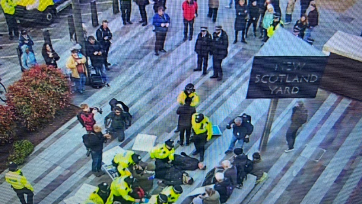 Palestine Action supporters arrested as London’s Met Police reverse policy