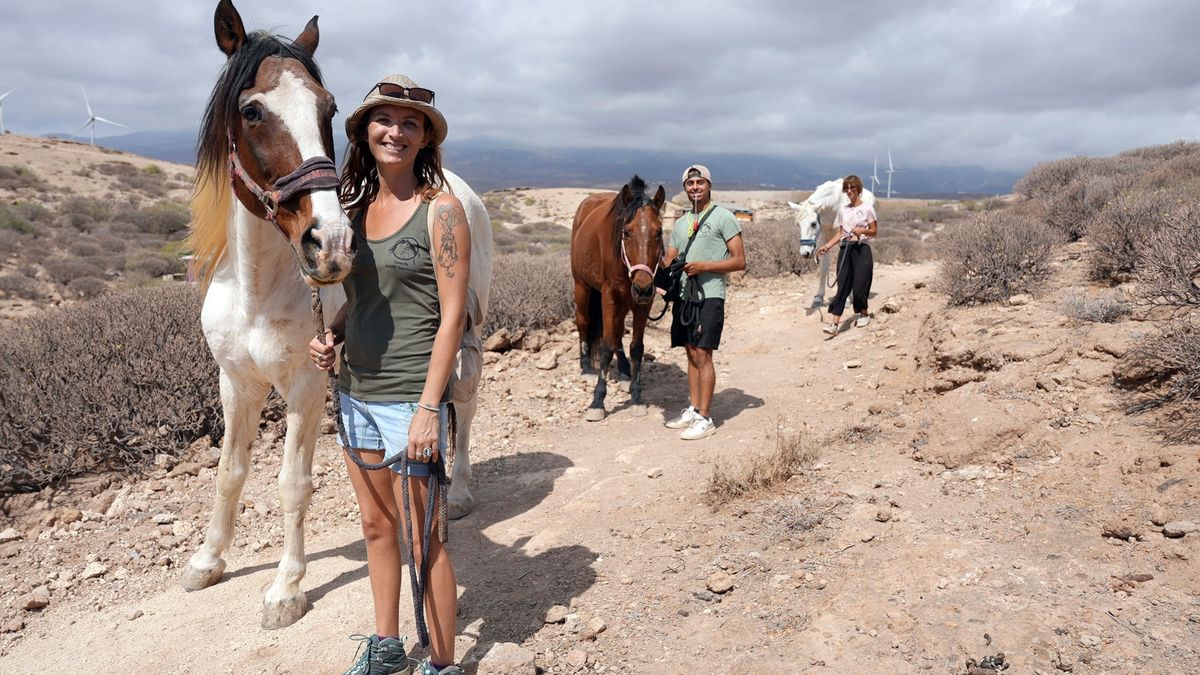 Tierretter auf Teneriffa: SPIEGEL TV über freiwillige Hilfe für misshandelte Pferde und Hunde