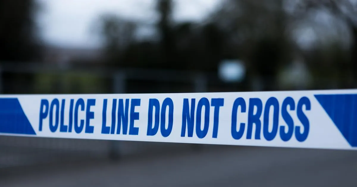 Angleterre: un automobiliste arrêté après avoir percuté plusieurs piétons, des blessés graves