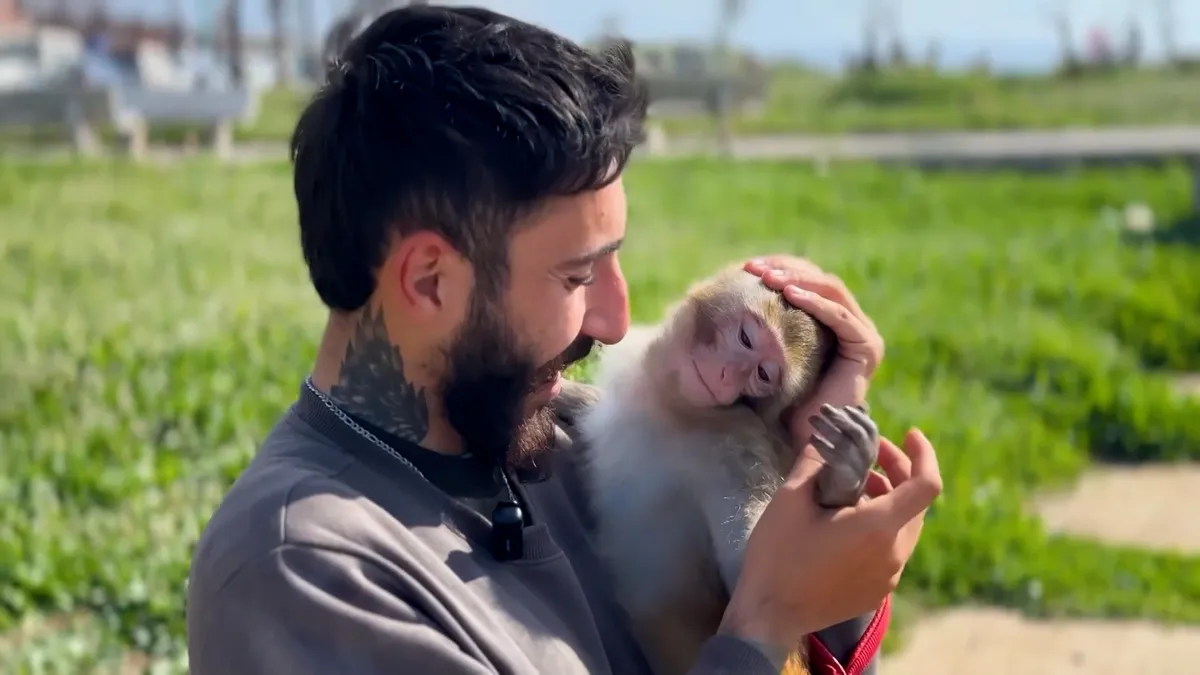 Lebanese resident stays behind with pet monkey despite evacuation orders
