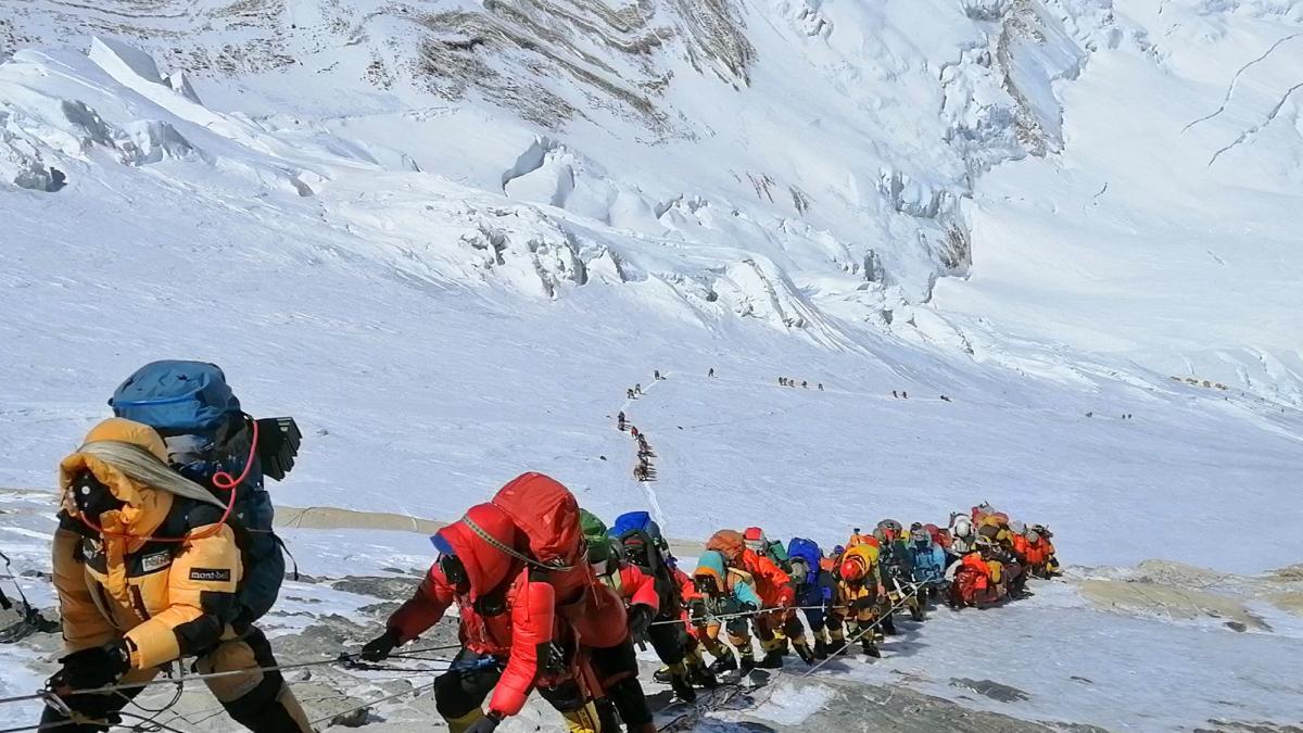 
                          ¿Se publicarán en el futuro novelas sin IA?
                      