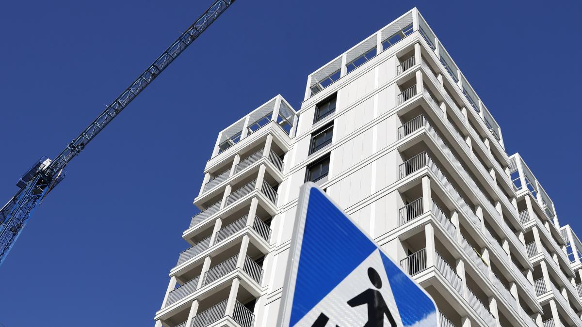 
                                                                     Lo que cabe en un metro cuadrado
                                                                 