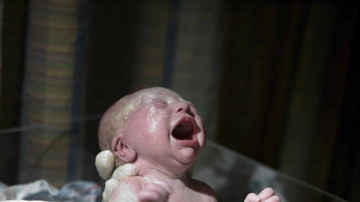 
                                                                                                                Natalidades y sentido
                                                                                                            