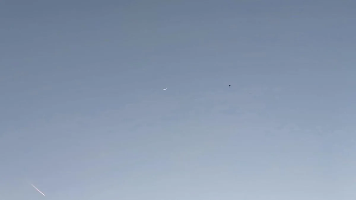 
                                                                                                                                         ¿Eres capaz de ver el murciélago en menos de 30 segundos?
                                                                                                                                     