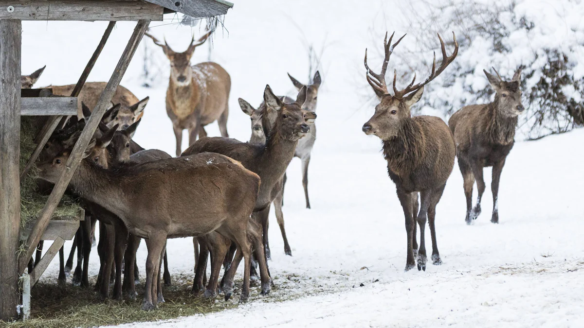Wildtiere in Bayern: „Das ist die Verhausschweinung der Hirsche“