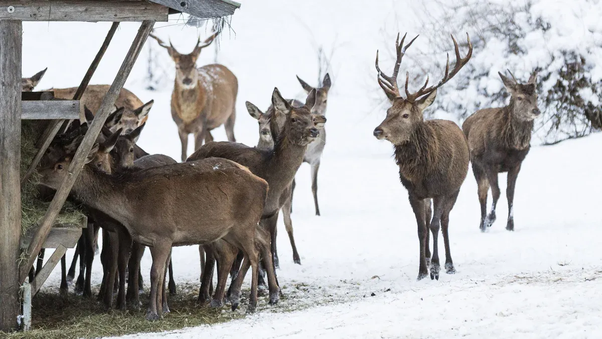 Wildtiere in Bayern: „Das ist die Verhausschweinung der Hirsche“