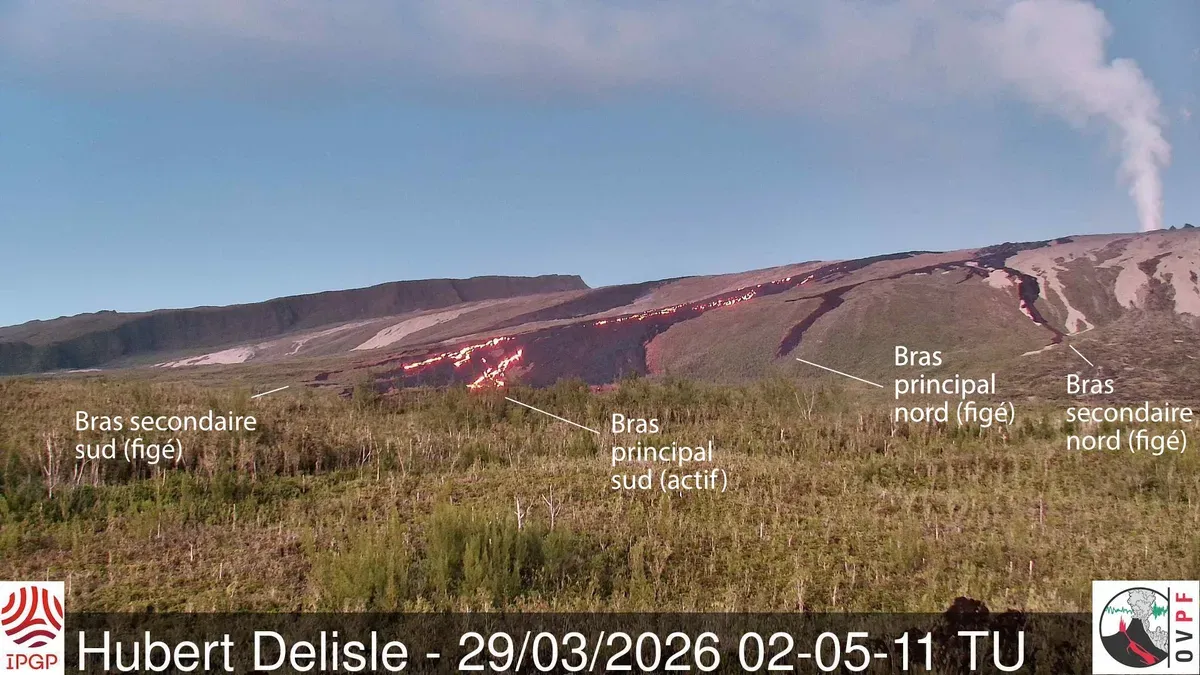 Piton de la Fournaise : l'éruption a repris, de la lave à nouveau visible dans les Grandes Pentes