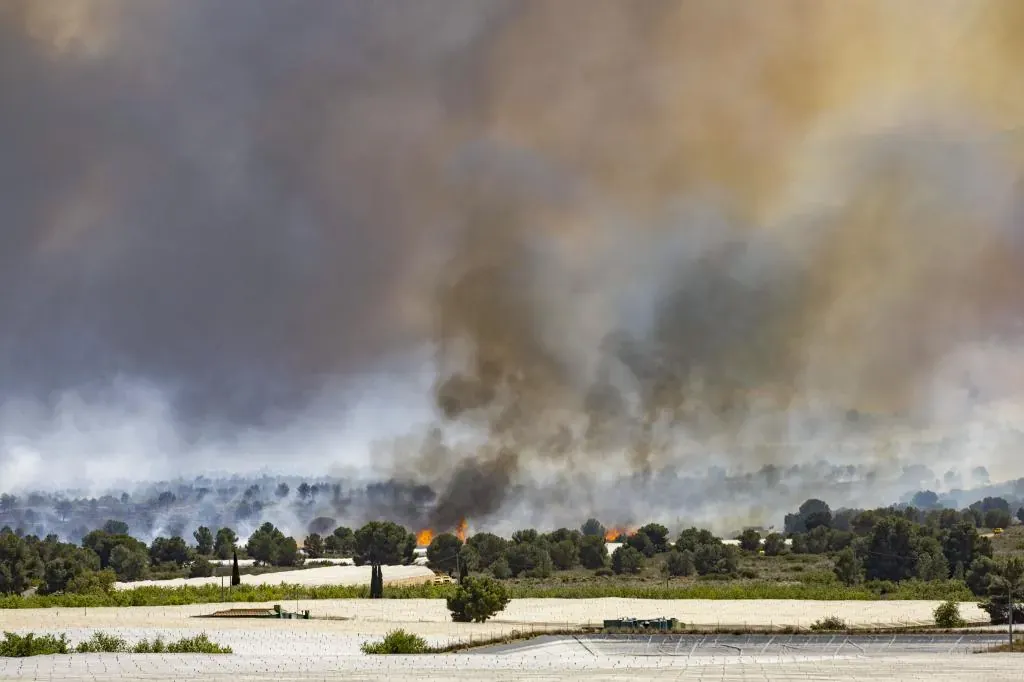 La UME se incorpora a la lucha contra el incendio avivado por el viento en Sierra Espuña (Murcia)