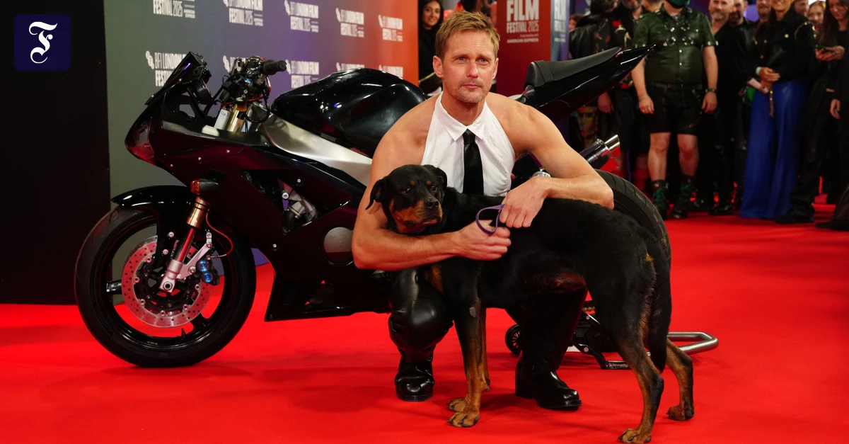 Alexander Skarsgård im Interview: „Sub-Dom-Beziehungen sieht man im Kino nicht häufig“