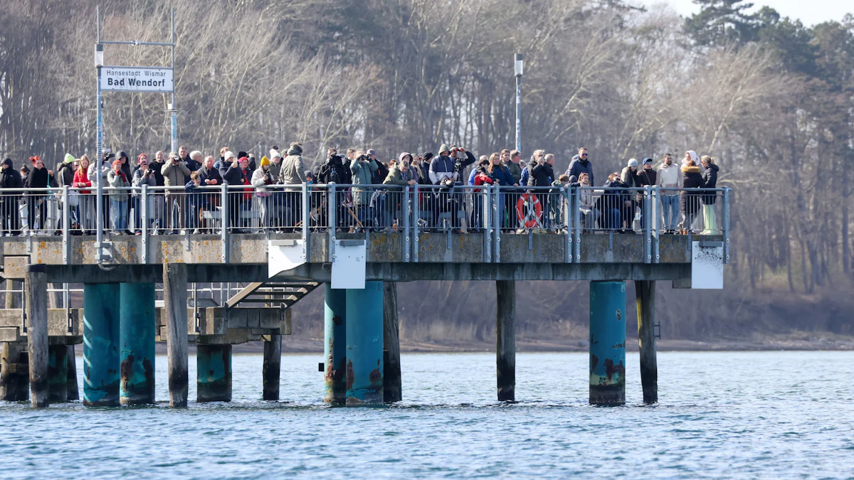 Umwelt: So viel Aufwand für einen Wal? Ja, so viel Aufwand, bitte
