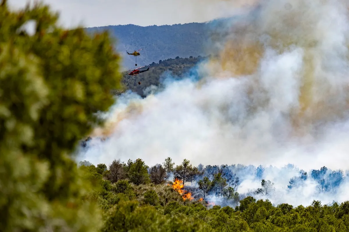 Un incendio quema 400 hectáreas en Murcia y obliga a evacuar a 80 ‘scouts’ 