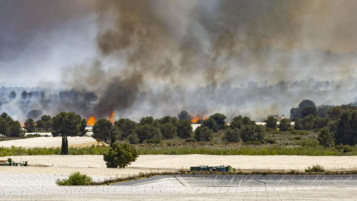
                                                                                                              La UME se desplaza al incendio de Sierra Espuña, avivado por el fuerte viento
                                                                                                          