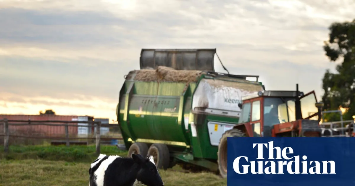 Farmers plead for tax breaks, diesel guarantees and help buying fertiliser as national cabinet meets on fuel crisis