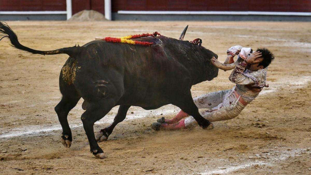 
                                     Espeluznante cogida en Las Ventas del diestro Cristian Pérez
                                 