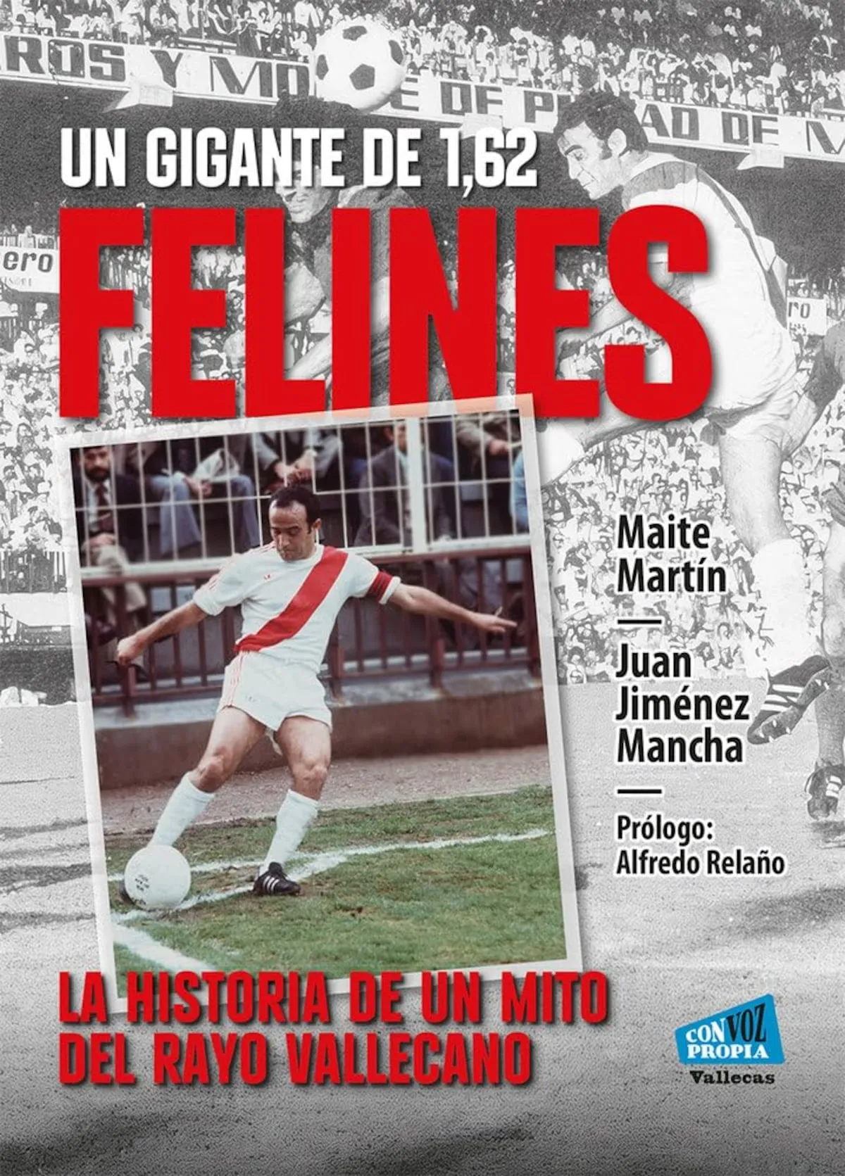 La talla de Felines