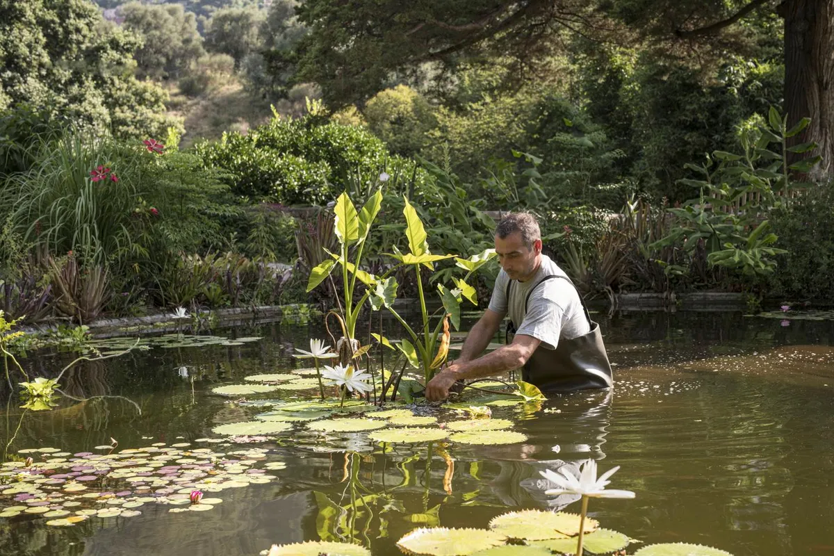De Paris à Menton, cinq jardins du Muséum national d’histoire naturelle