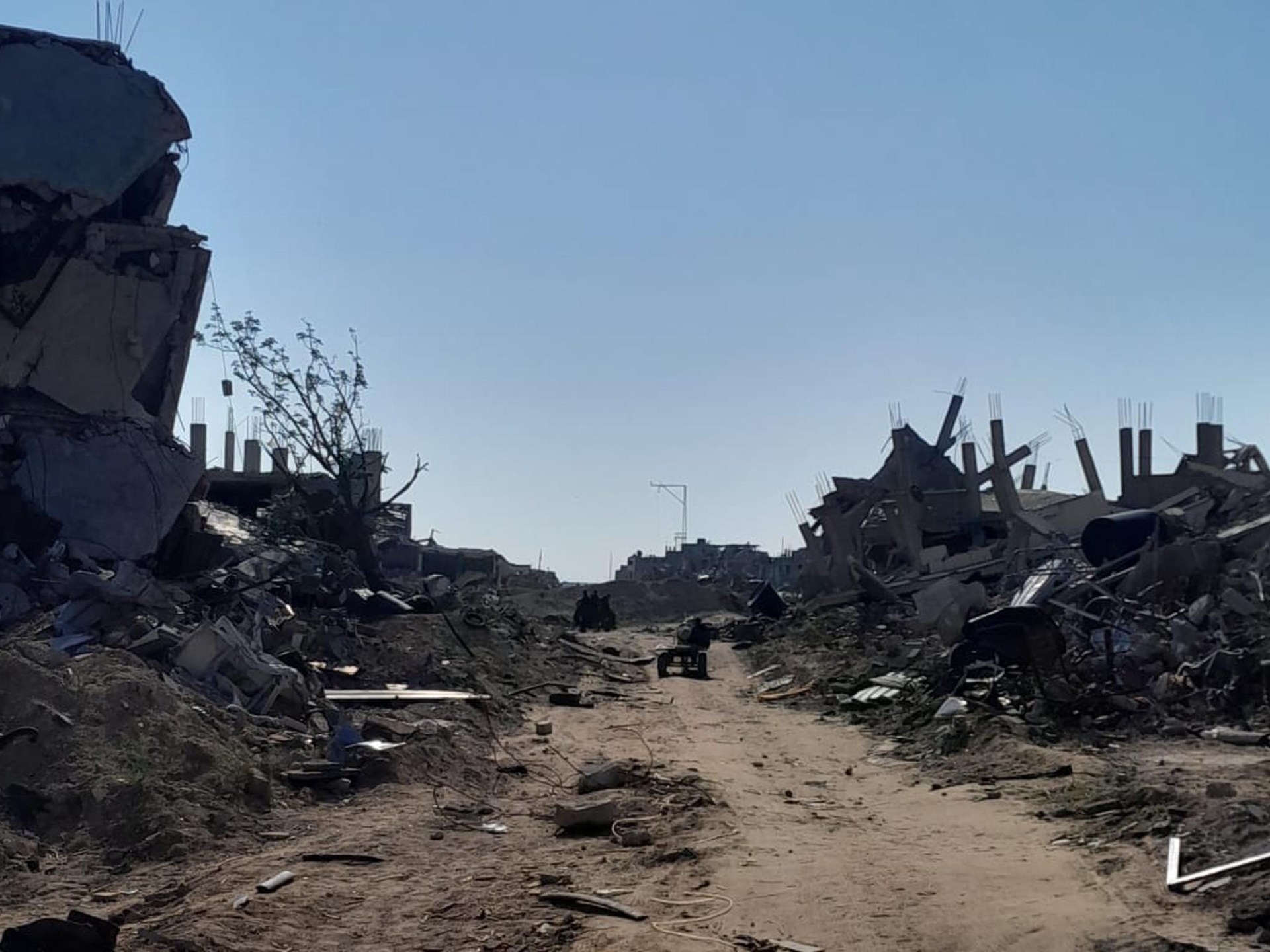 Green and Yellow: Two lines that separate me from my land