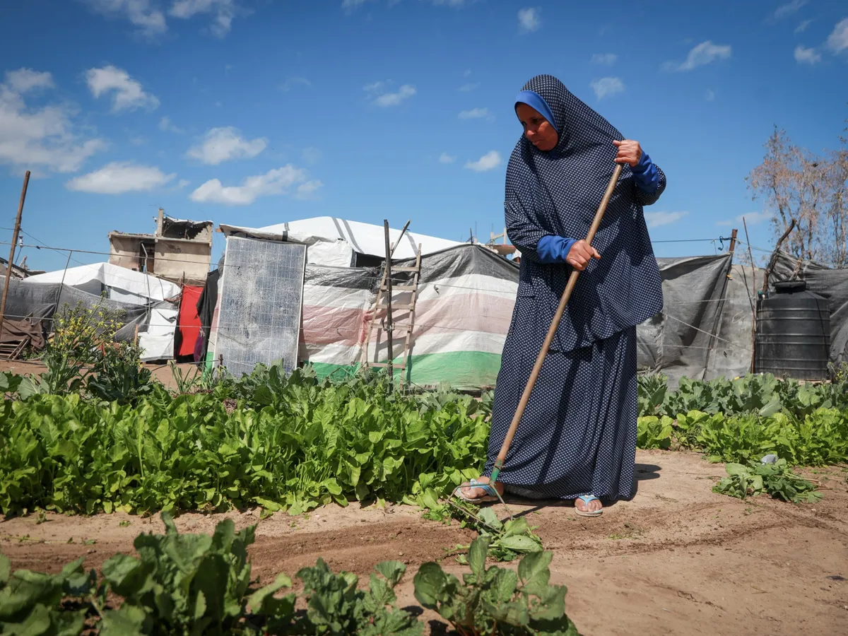 Land Day in Gaza: Between memory and the fight for what remains