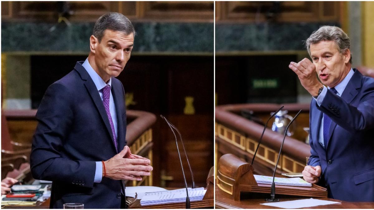 
                     Lo que necesitan Sánchez y Feijóo
                 