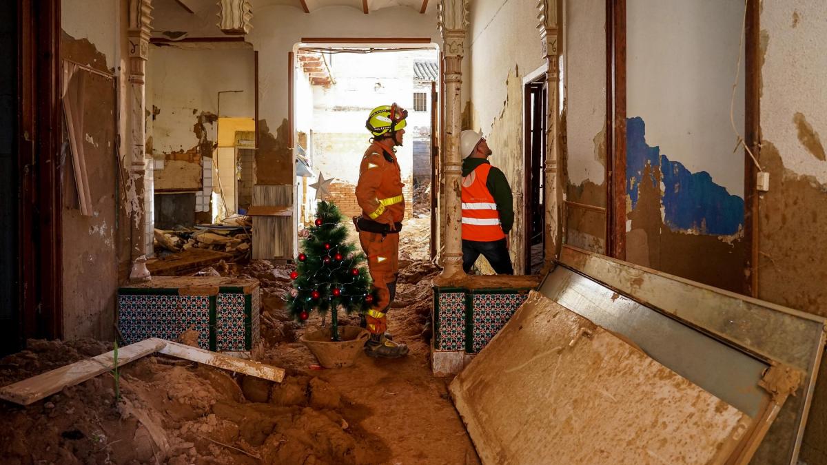 
                                                   Un bombero que actuó en la dana cuestiona por qué no se movilizaron otras unidades cercanas
                                               