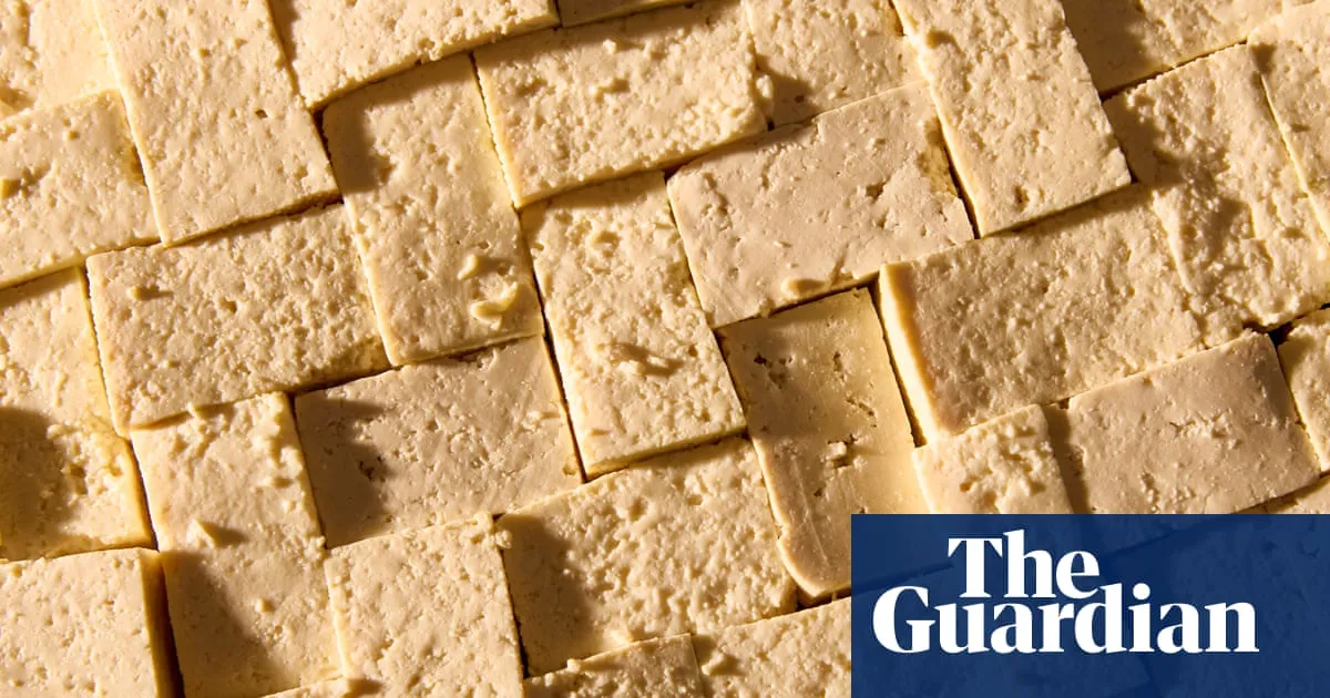 Soy what? 40,000lbs of spilled tofu leads to ‘unforgettable’ odor in Missouri town