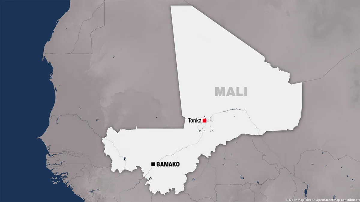 Mali: le Jnim assassine un responsable d'une organisation de jeunes dans la région de Tombouctou