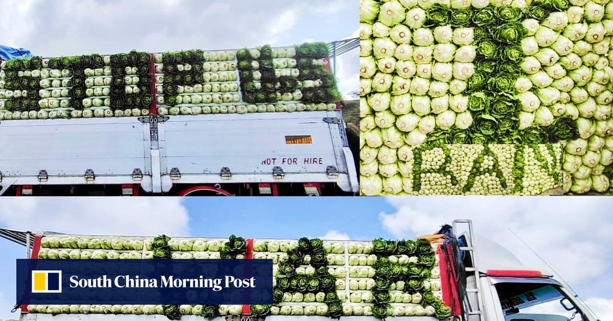 Filipino farmer pleads ‘Stop US-Iran War’ after soaring fuel prices wipe out earnings