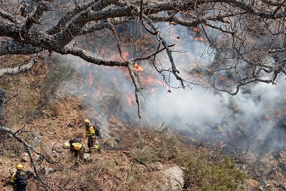 Un incendio arrasa ya 200 hectáreas de monte en Cáceres