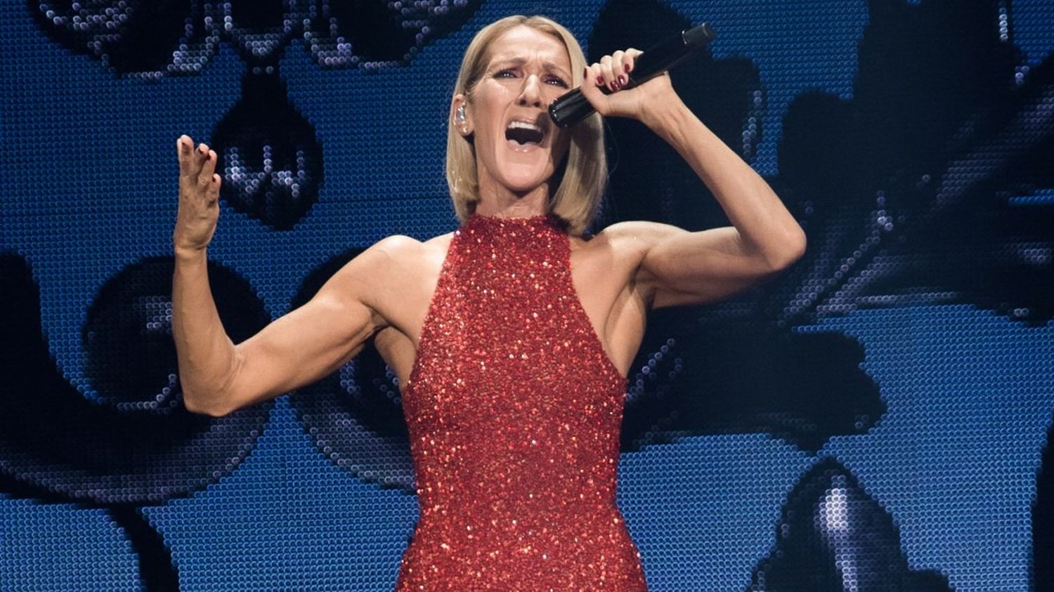 Dates, préventes, inscriptions… Ce qu'il faut savoir du retour sur scène de Céline Dion à Paris à l'automne 2026