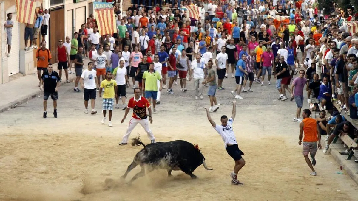 
                                                                                                               La Generalitat Valenciana autorizó 9.542 festejos de bous al carrer en 2025, récord histórico
                                                                                                           