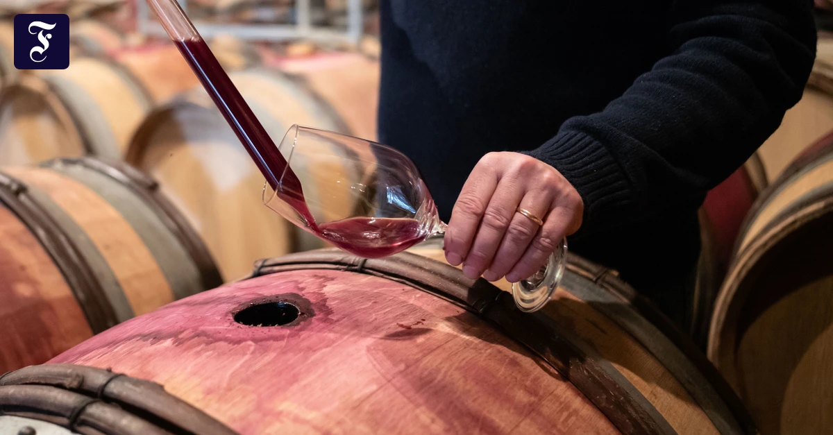 Nicht nur ungesund: Wein ist Leben in Fülle